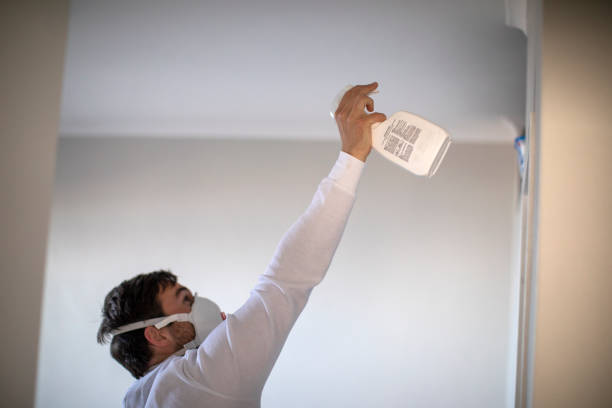 Best Basement Mold Remediation in Sangaree, SC