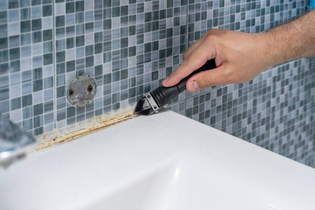 Best Localized Mold Remediation (e.g., coastal areas, humid climates) in Sangaree, SC